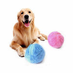 Anxiety Calming Dog Ball