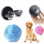 Anxiety Calming Dog Ball